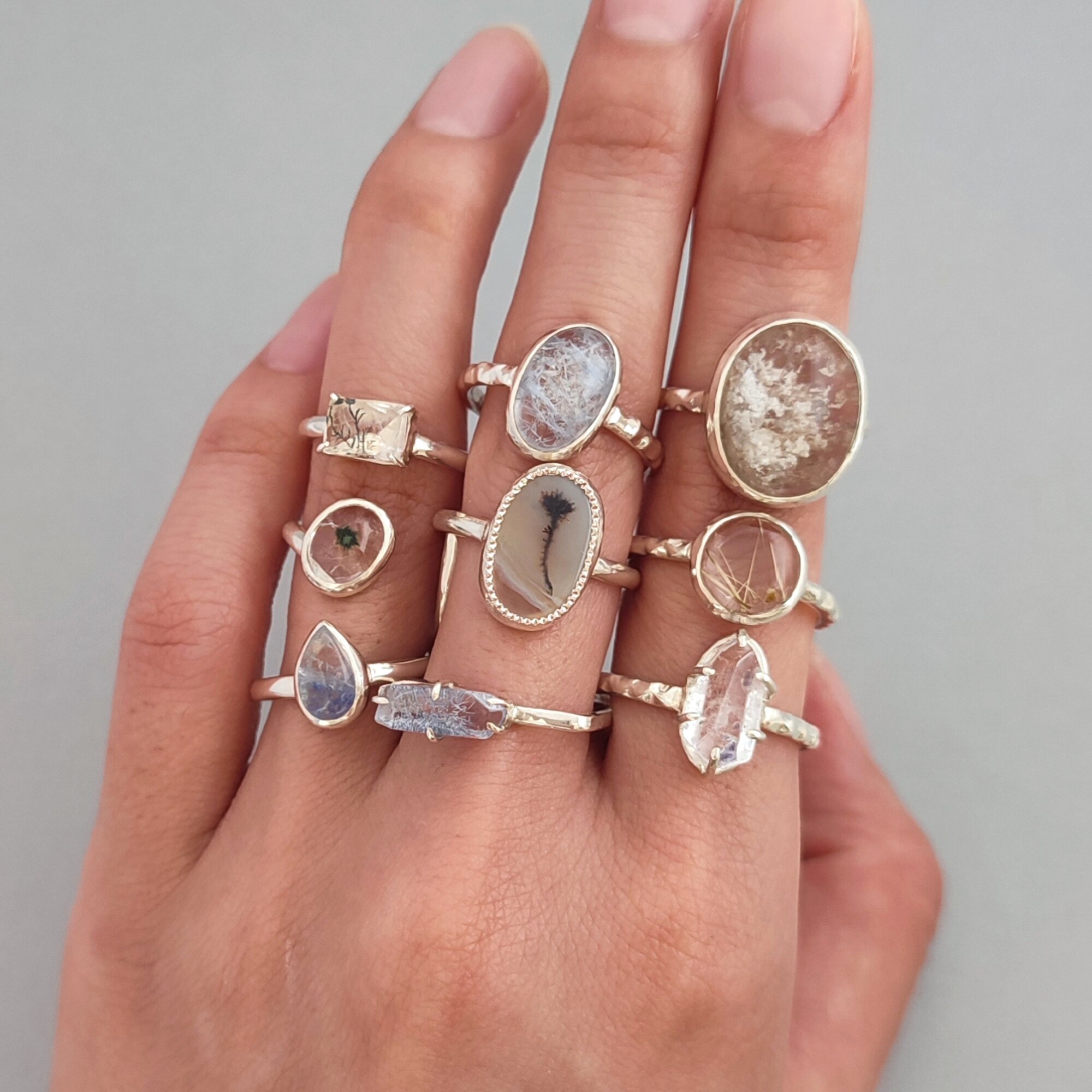 黒猫とカンパニュラ