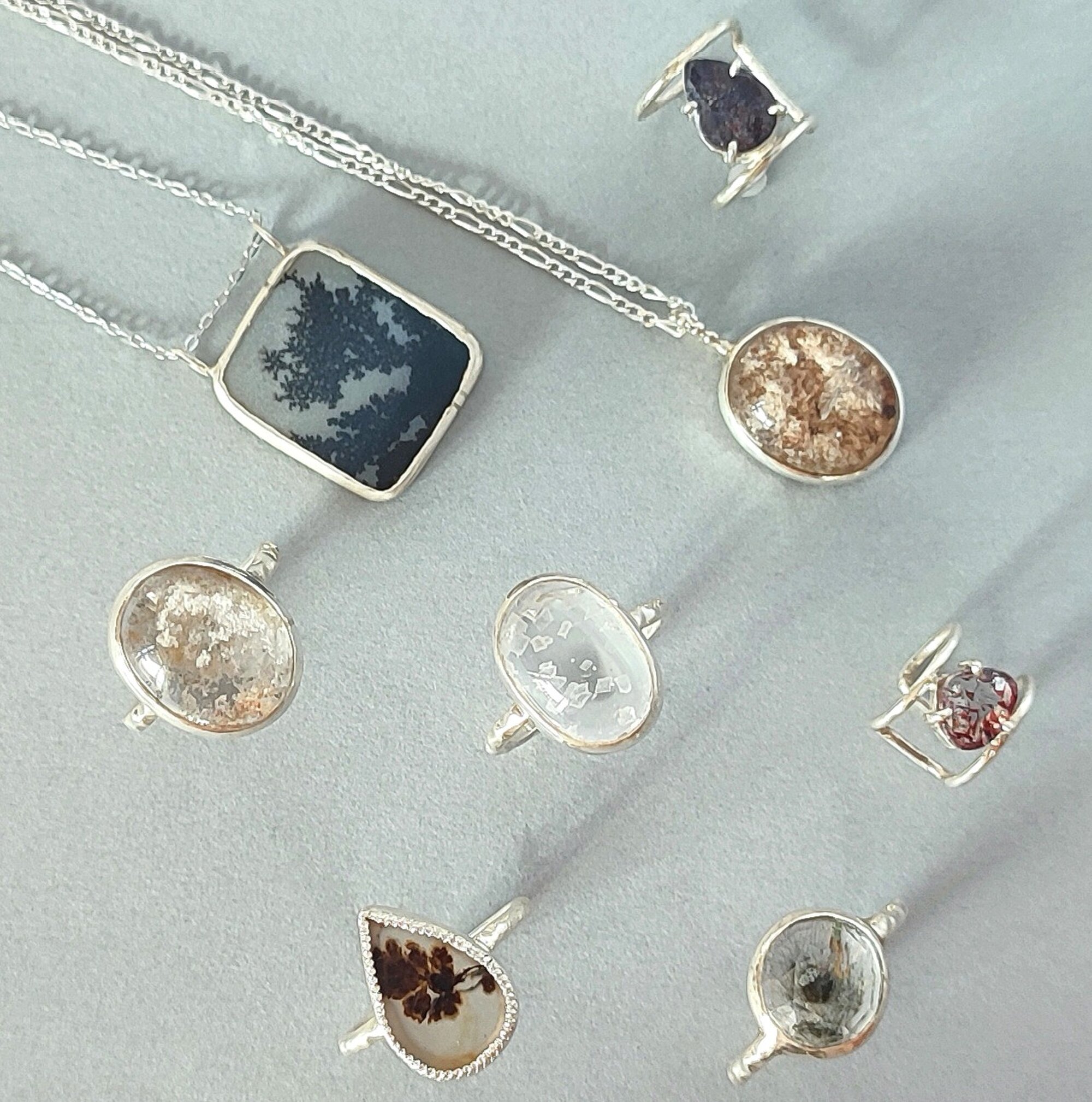 黒猫とカンパニュラ