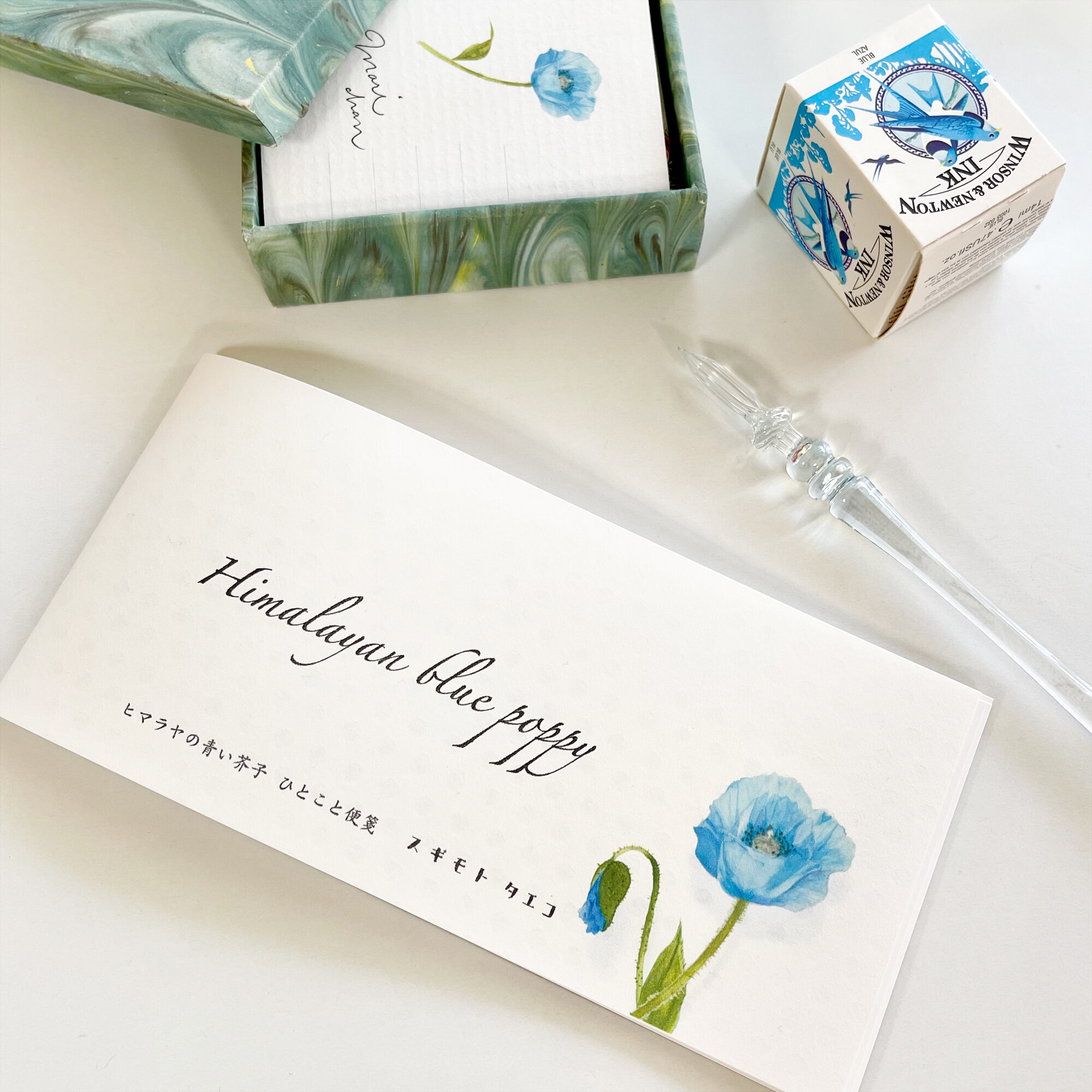 スギモトタエコ