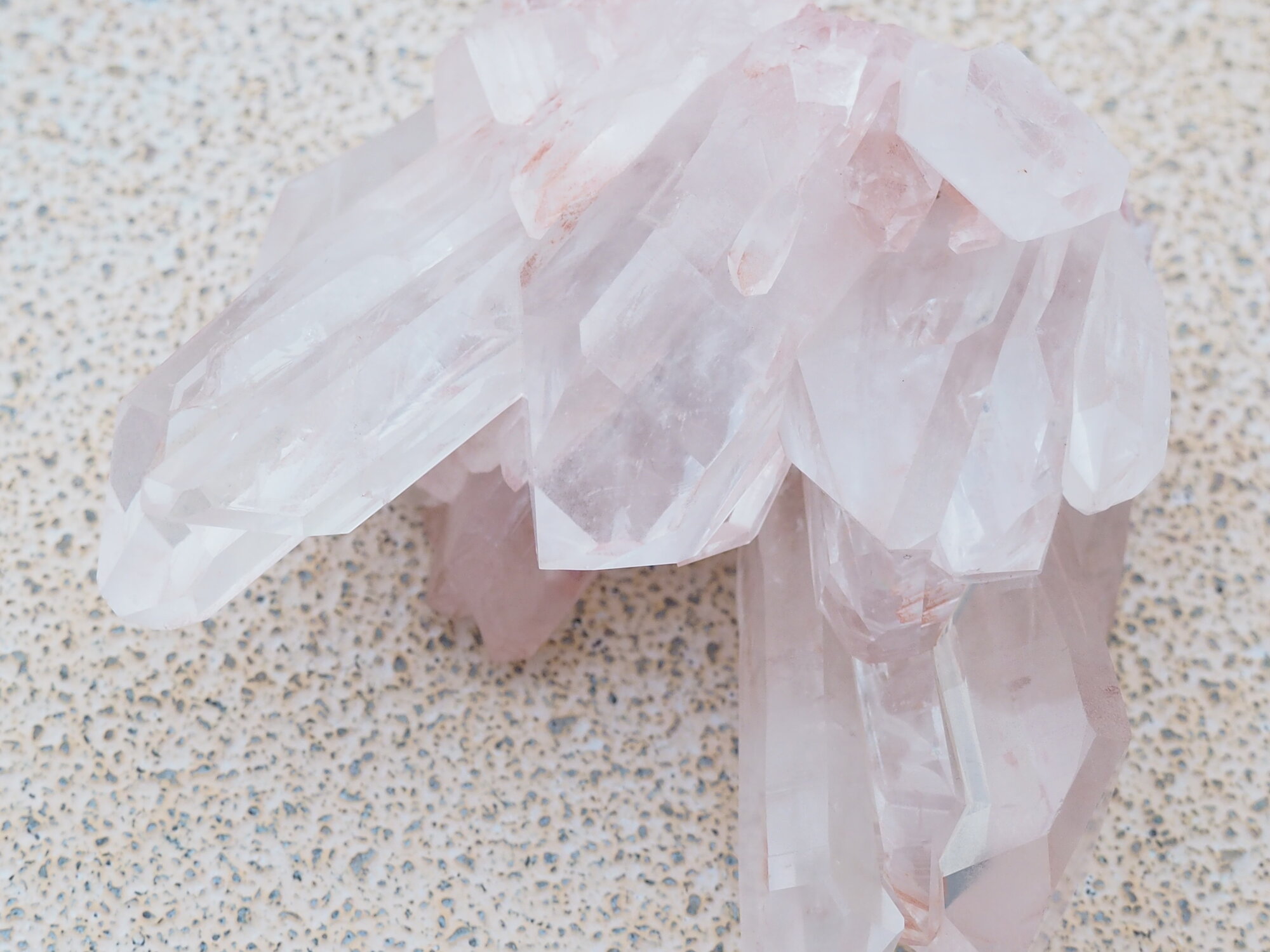 アトリエ　Fortuna