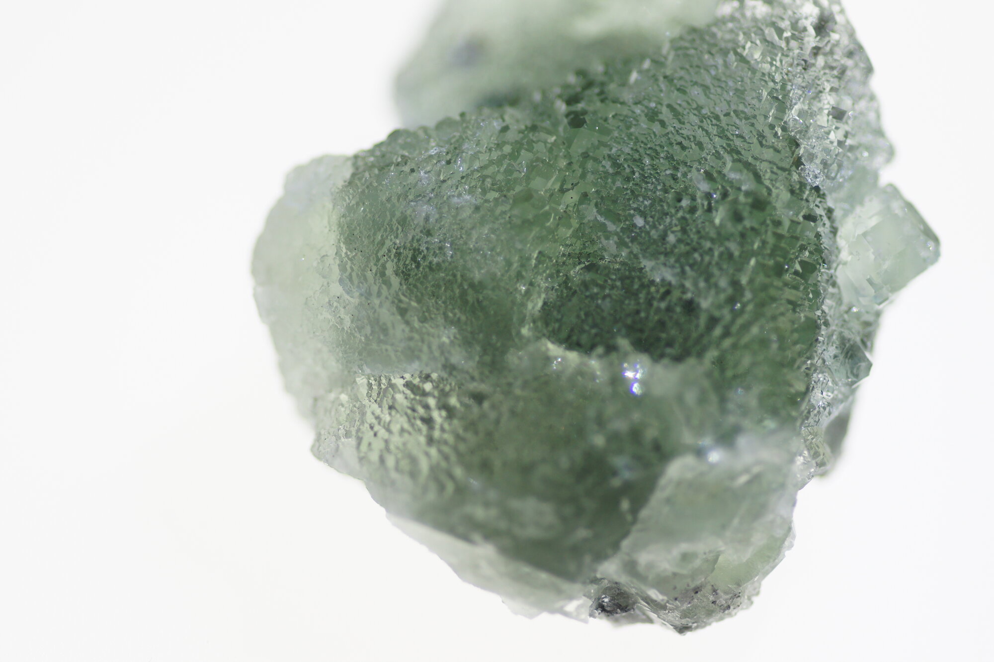 アトリエ　Fortuna