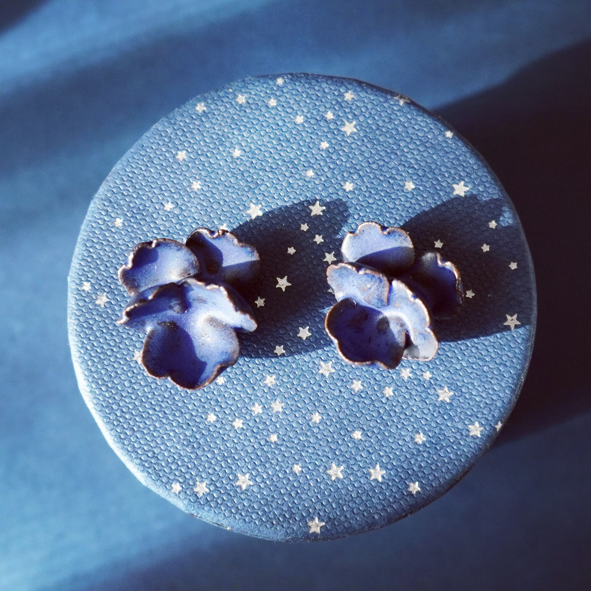 星の倉庫　HOSHINOSOUCO