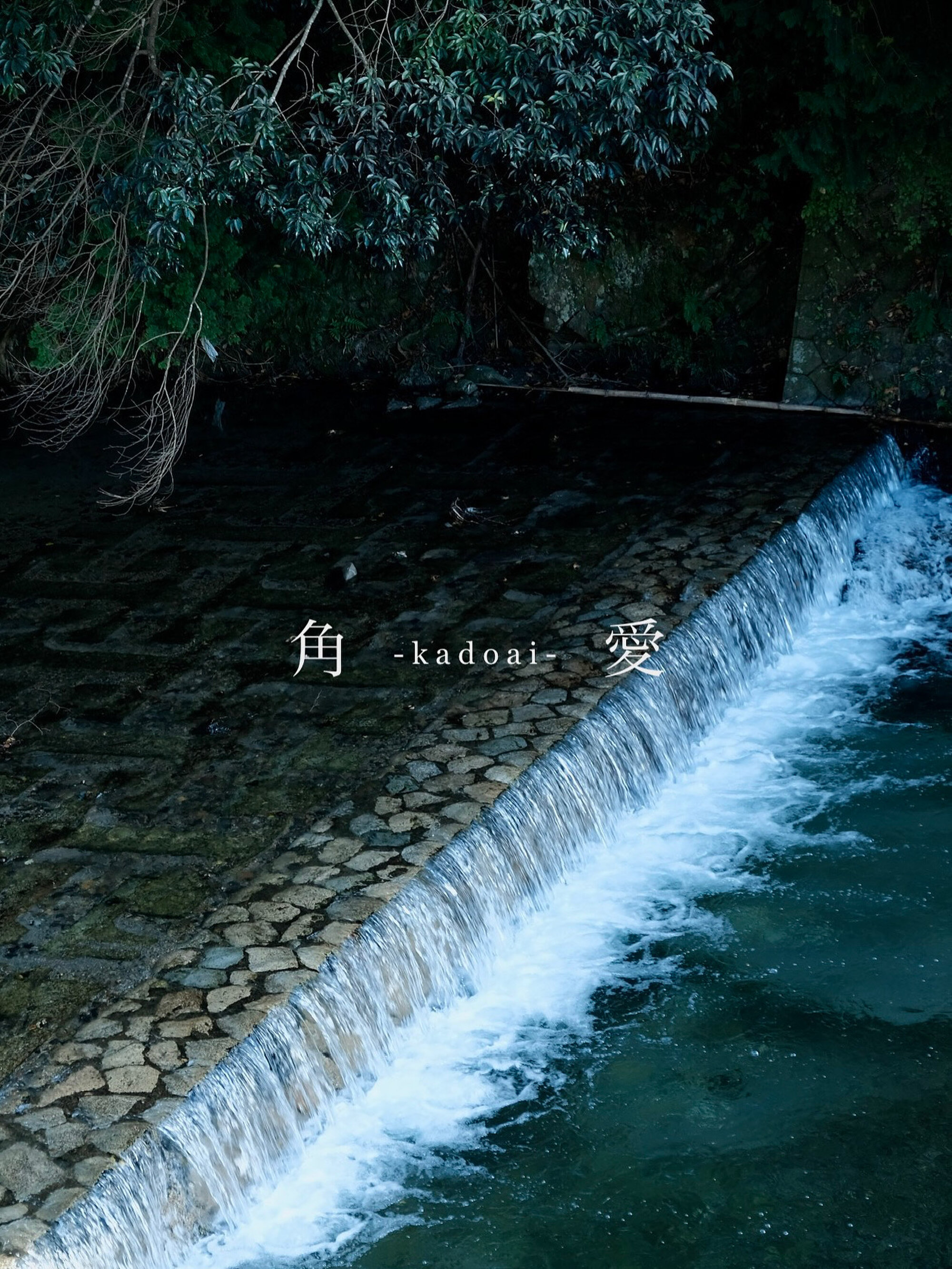 角愛- k a d o a i -