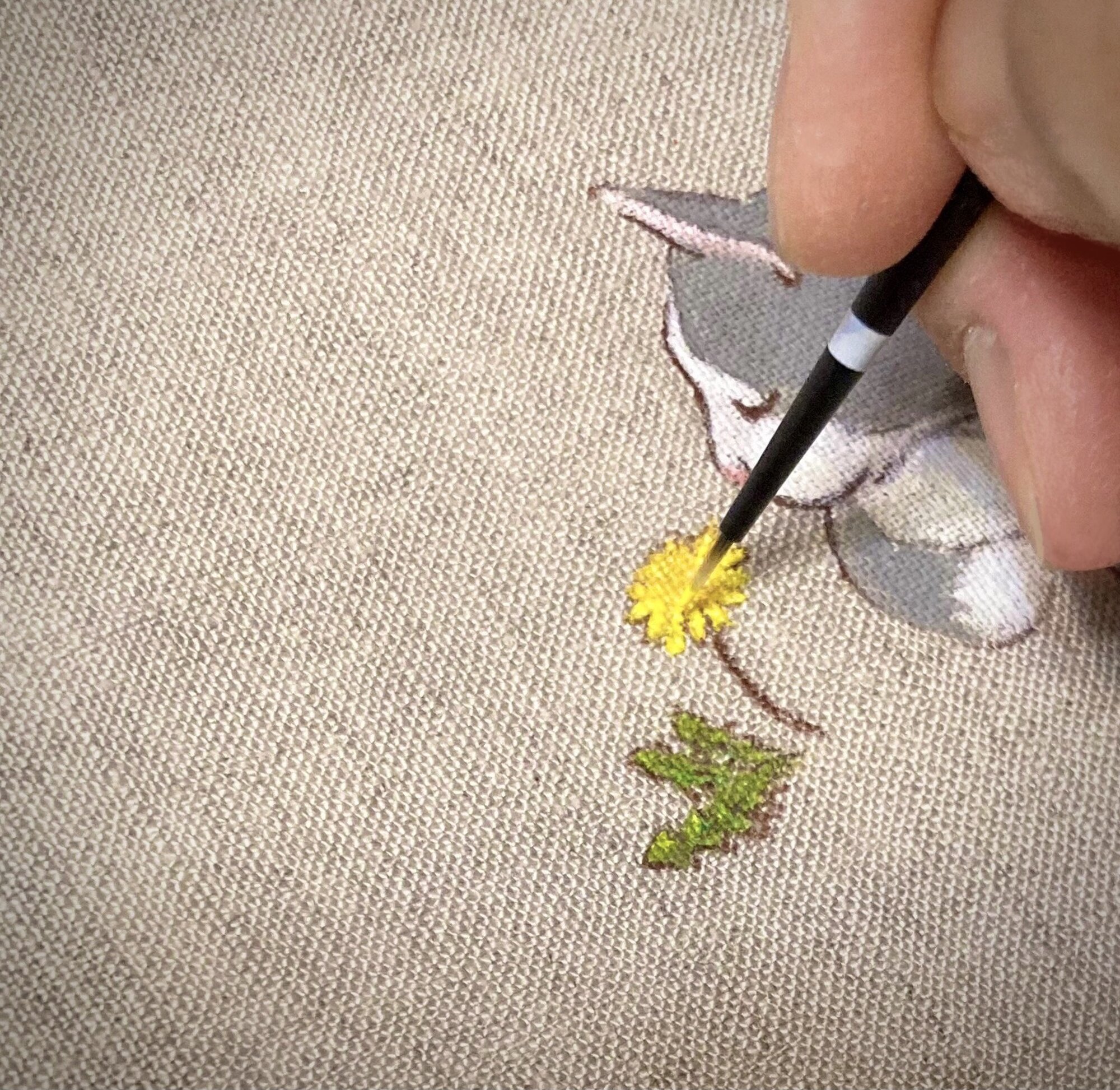 猫しちさん。