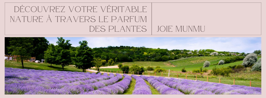 Joie munmu｜アロマでアセンション