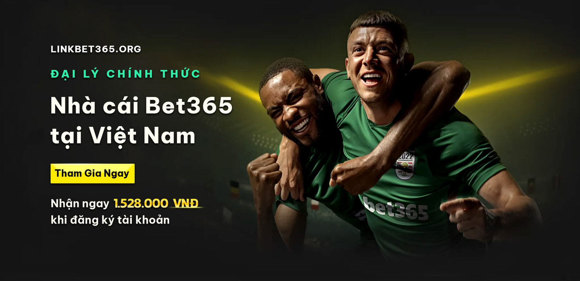 linkbet365org