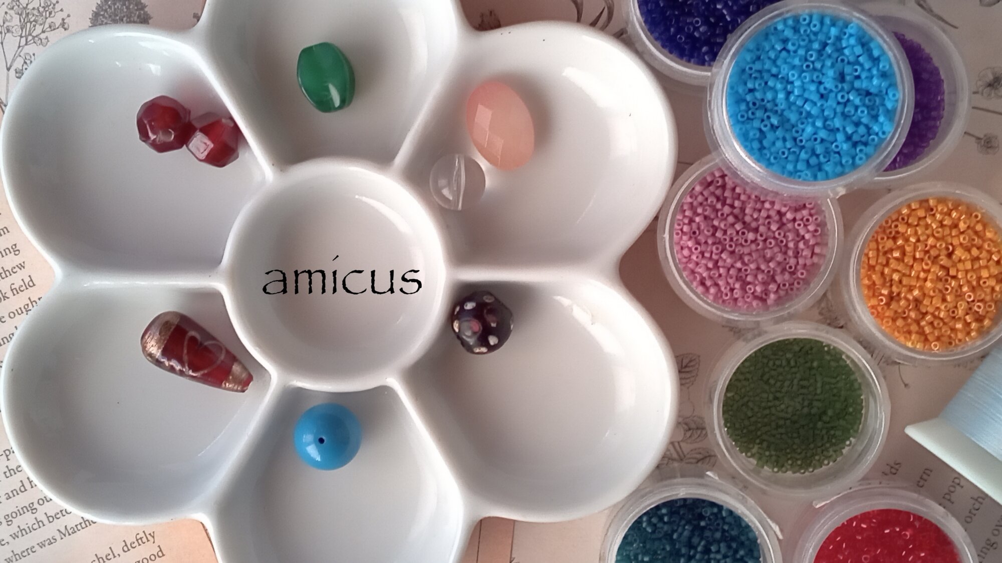 amicus