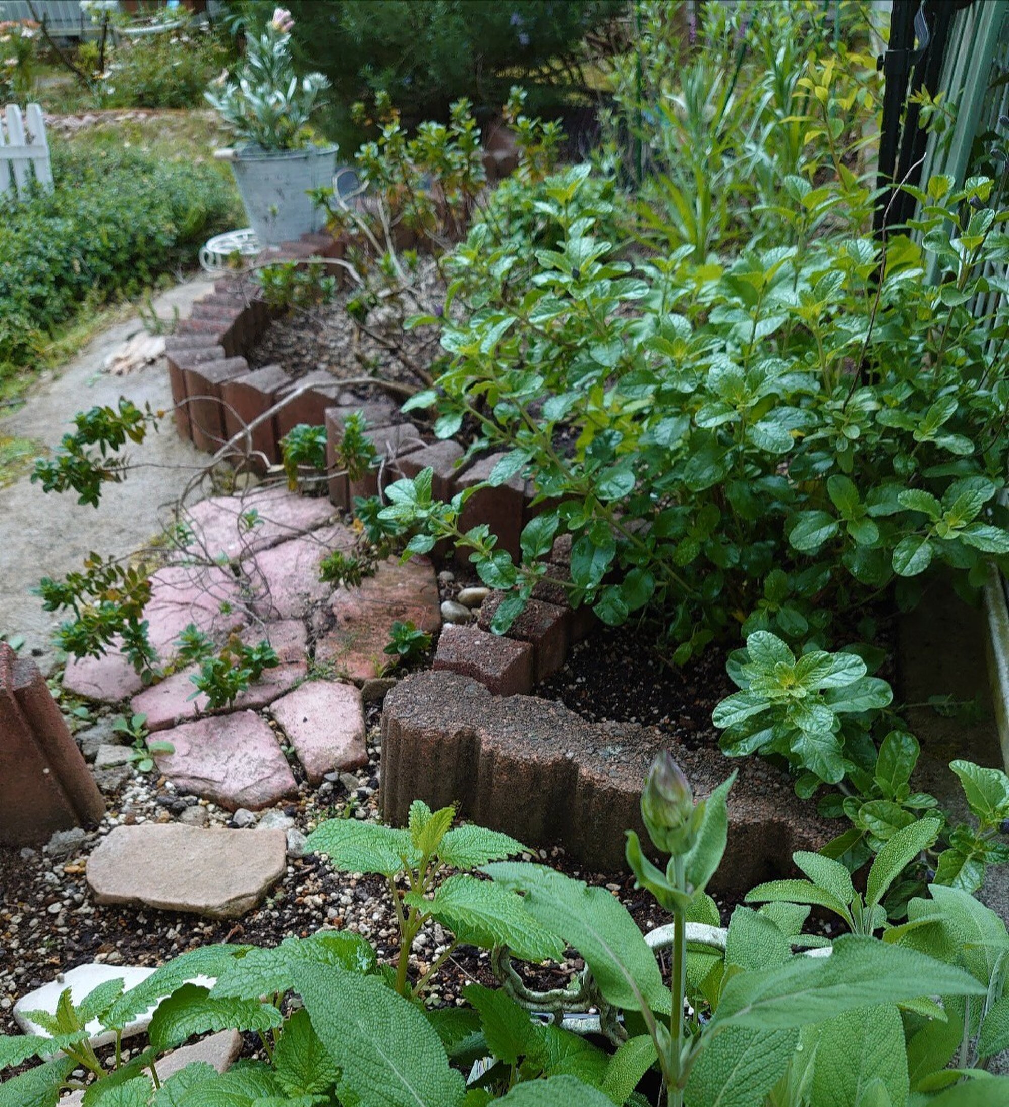 ALICE　HERB　GARDEN