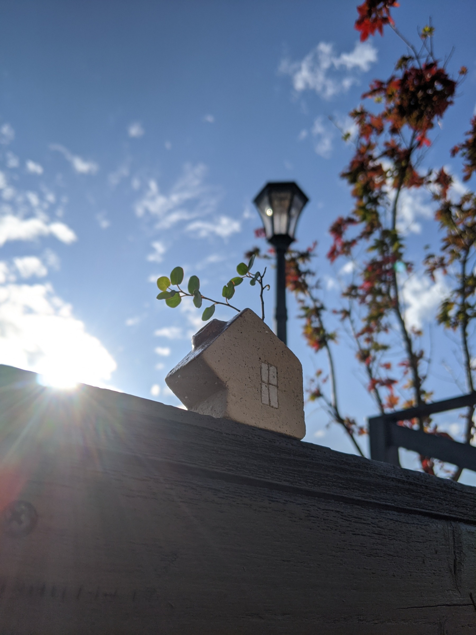 keitouki ｜ けいとうき