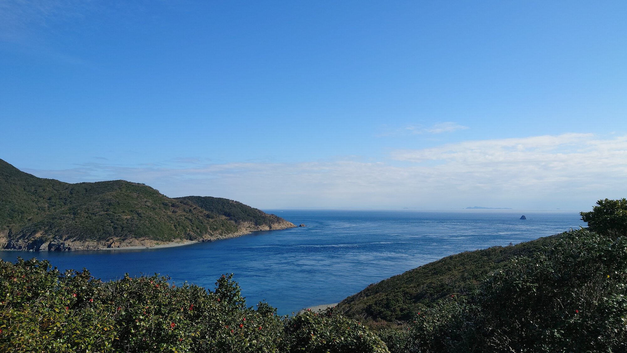 Maris研究所（まりすけんきゅうじょ）