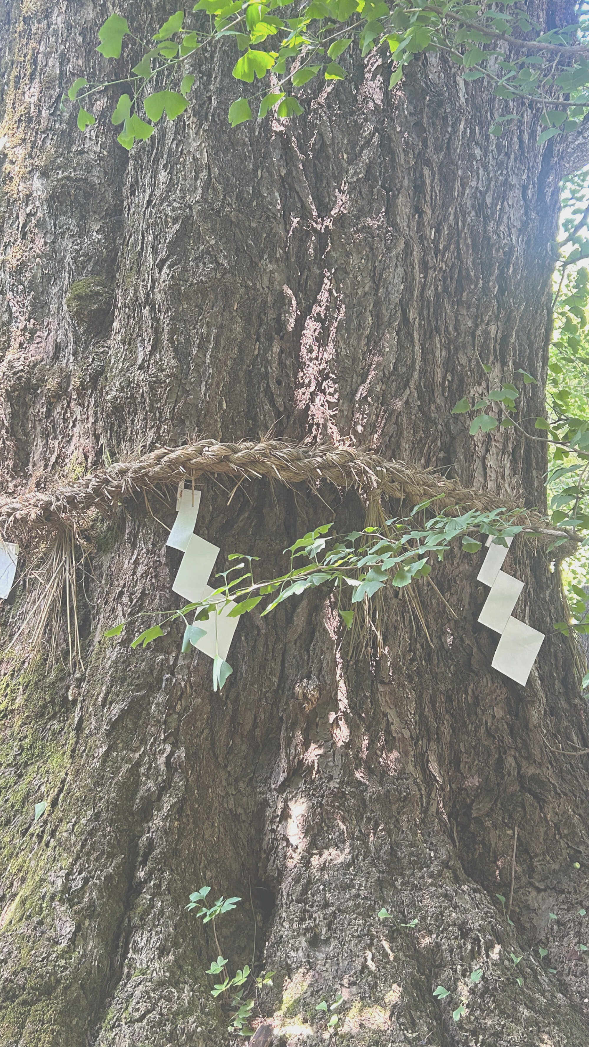 神座kamikura／祈りを宿す工藝