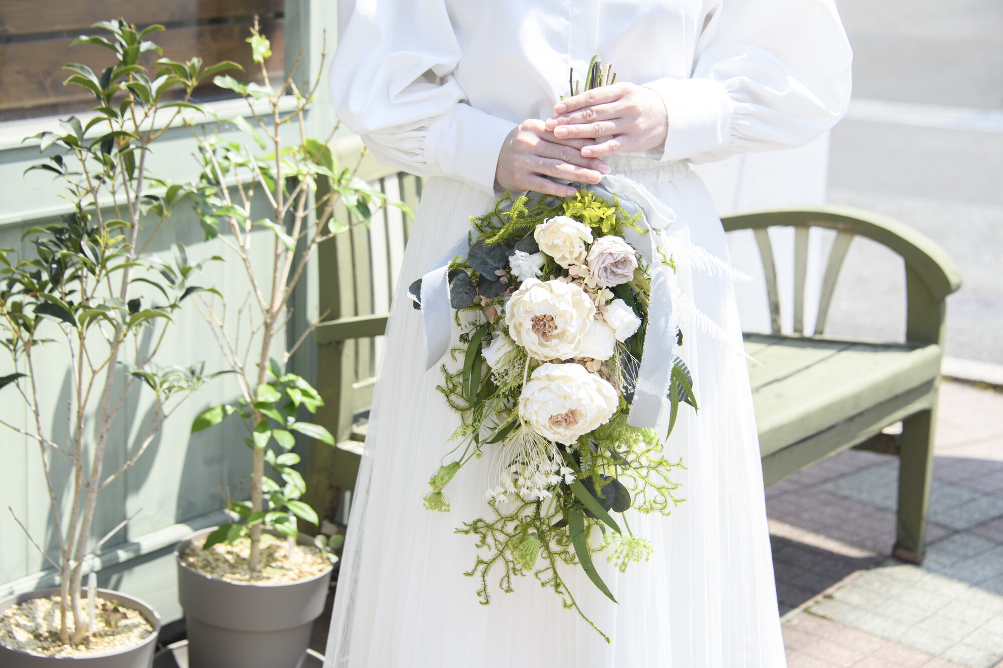 Belamorベラモール