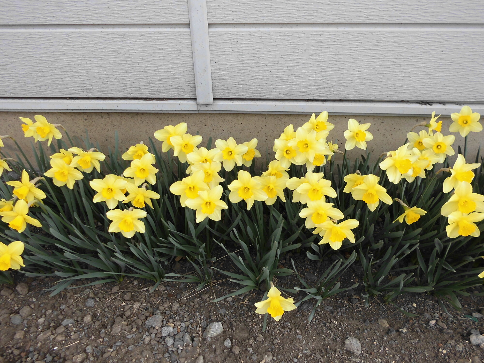 ギャラリー四季彩