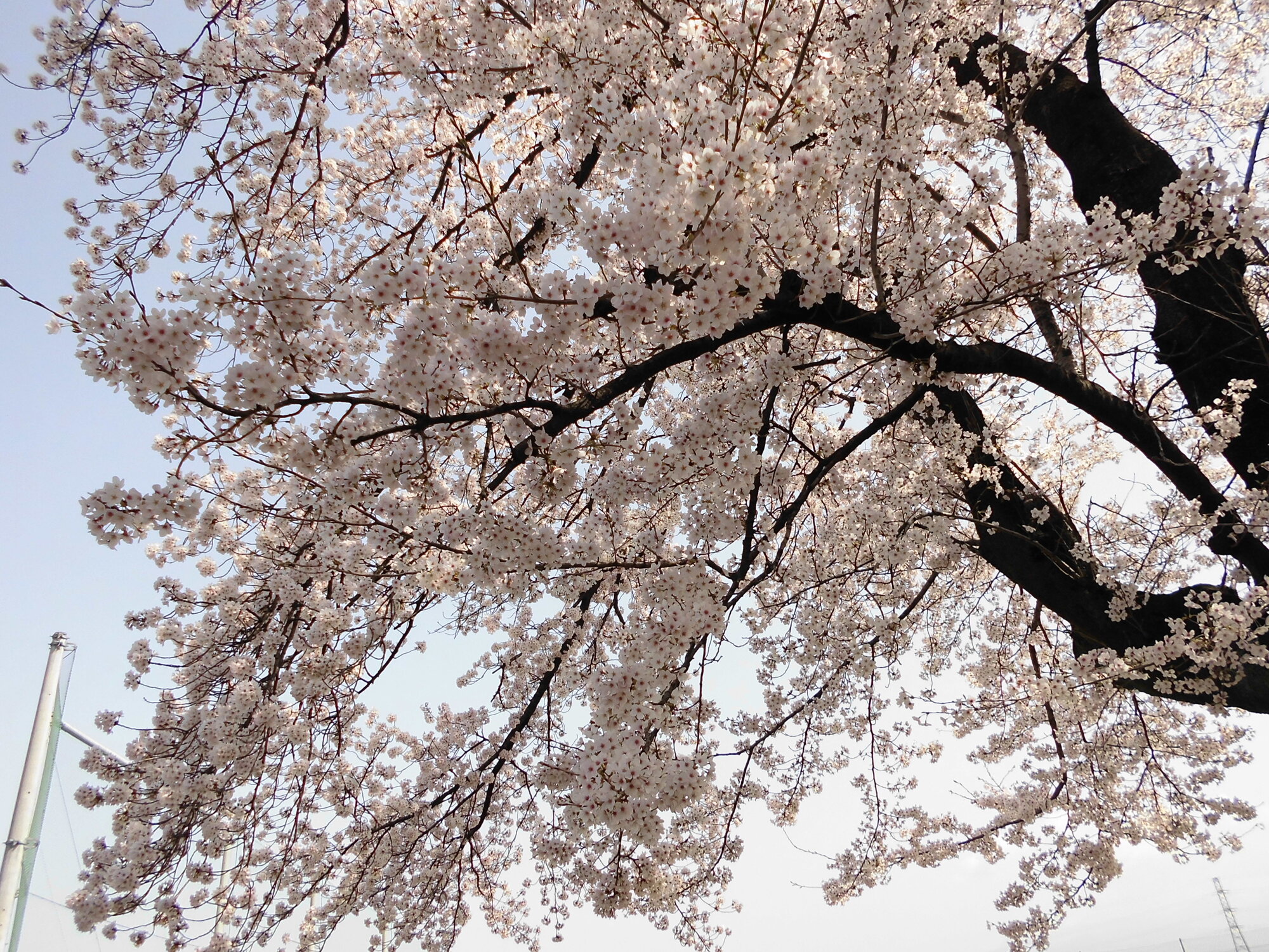 ギャラリー四季彩