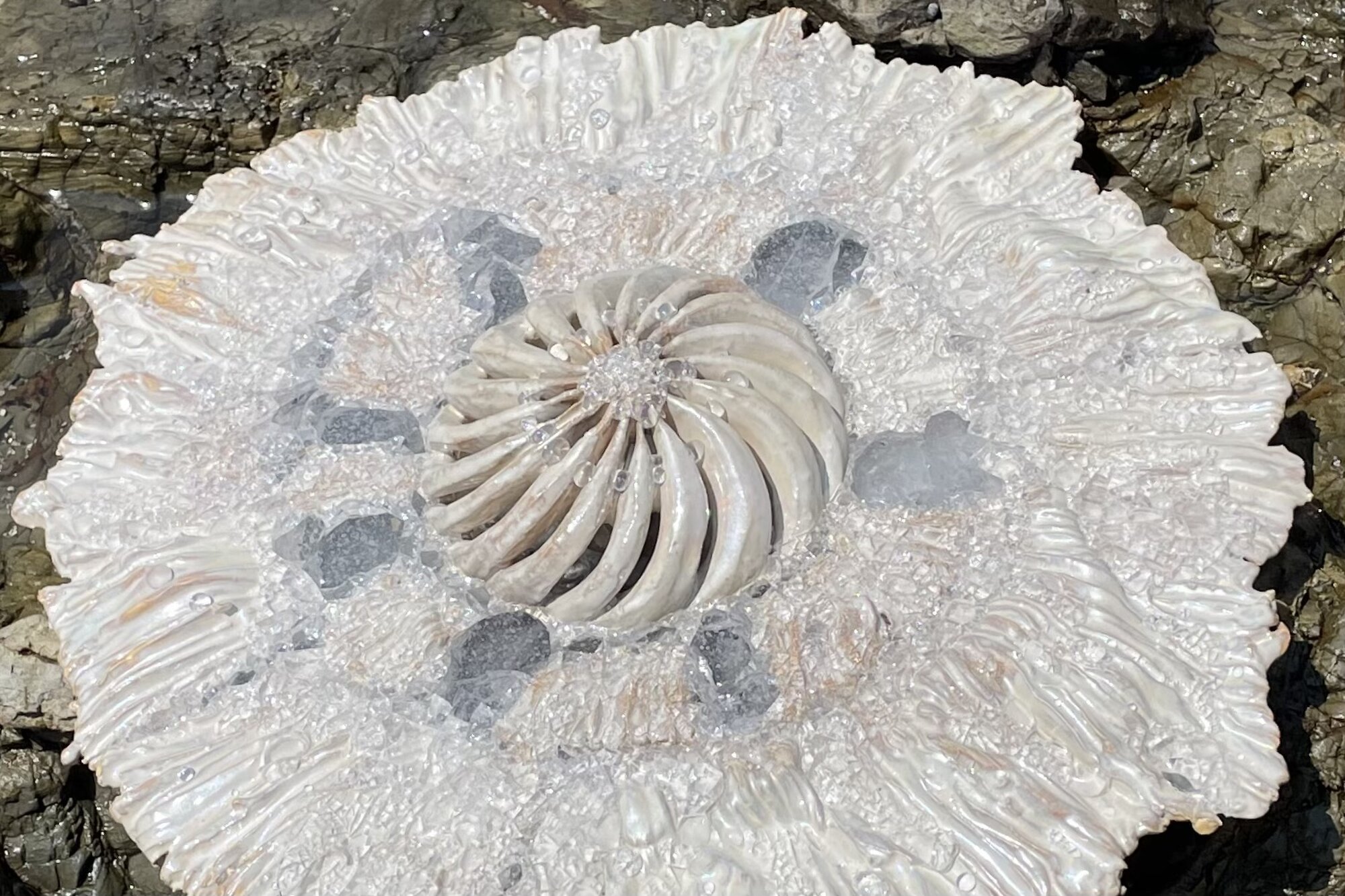 MIRACLE EGGS - Naoko Ohtani