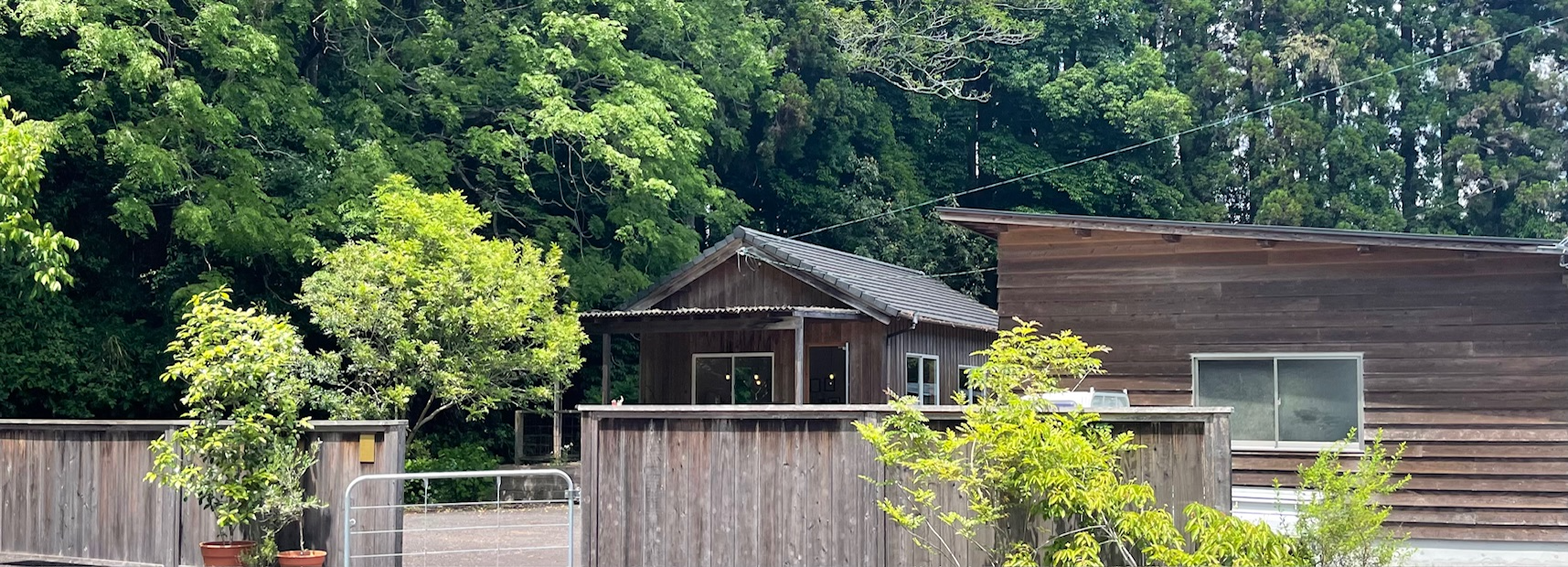 クローナ