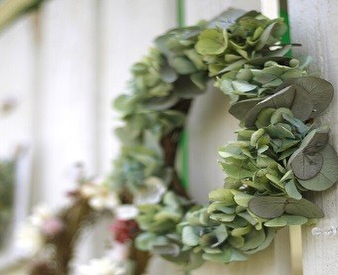 un ninnin　アンナンナン