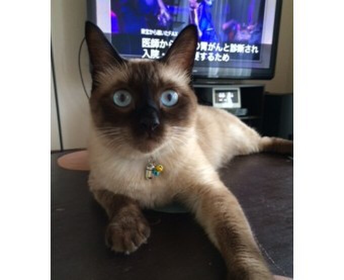 工房　ちくちくとんとん