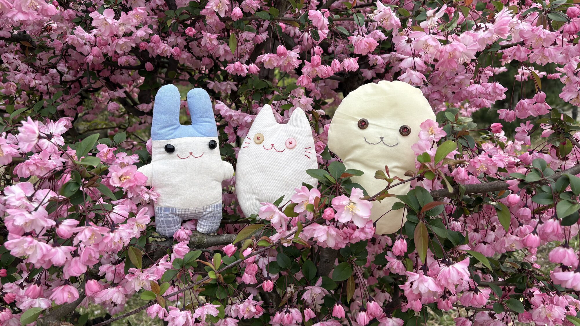 ぬい撮りウサギの妖精フニータ