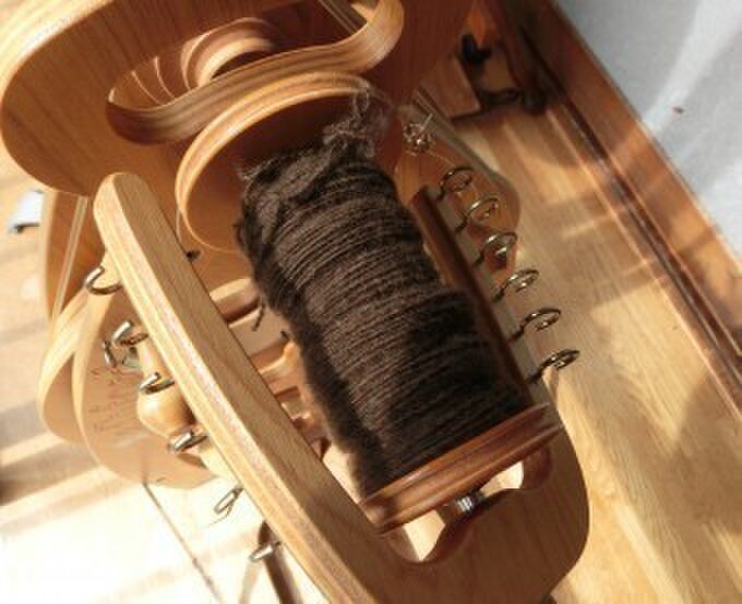 リエコ　カメヤマ