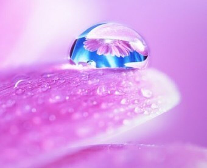 手づくりの石けんメ・サヴォン