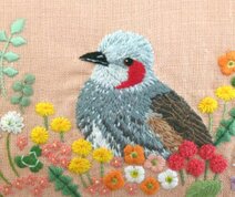 ヒヨドリコトリ