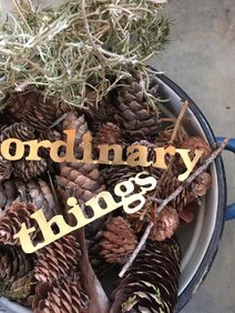 ORDINARY THINGS