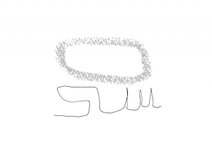 suu