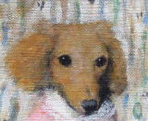 エスシーアート