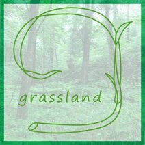 grassland