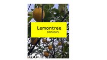 Lemontreeocnjewy