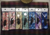 守炭（まもるたん）ハウス