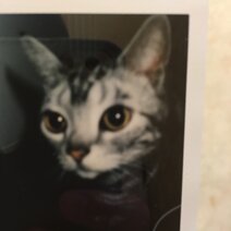 魔女とシンデレラ