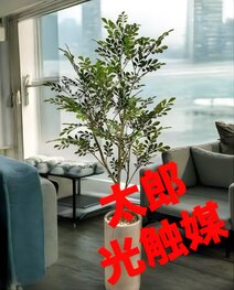 太郎