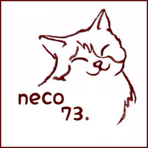 猫しちさん。