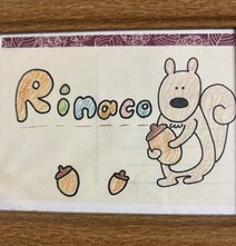 Rinaco