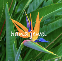 hana jewel