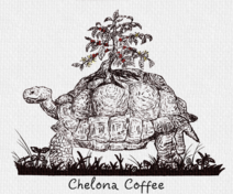 Chelona Coffee