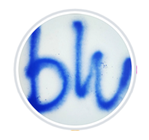 Blutales