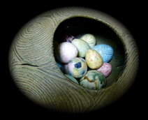 MIRACLE EGGS - Naoko Ohtani