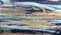 el flamingo