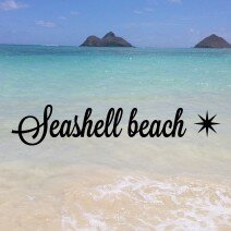 seashell beach