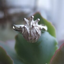 木の実リング