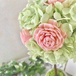 ソーラーローズのはる色トピアリー