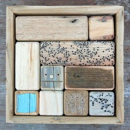 「ロボ頭」入り流木で作った積み木（10ピース）003