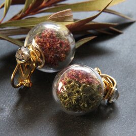 ワインカラーとモスグリーンのイヤリング