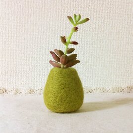 苔玉風　羊毛フェルトの一輪挿し（中）の画像