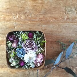 spring box （garden）