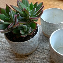 ４５.手ざわり白結晶　フリーカップ