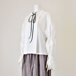 マルムークスリーブの変わりスキッパー